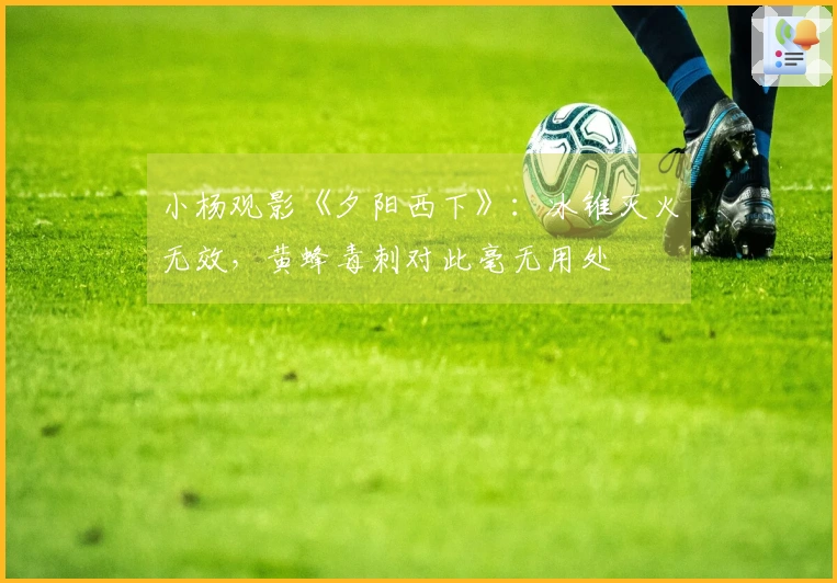 小杨观影《夕阳西下》：冰锥灭火无效，黄蜂毒刺对此毫无用处