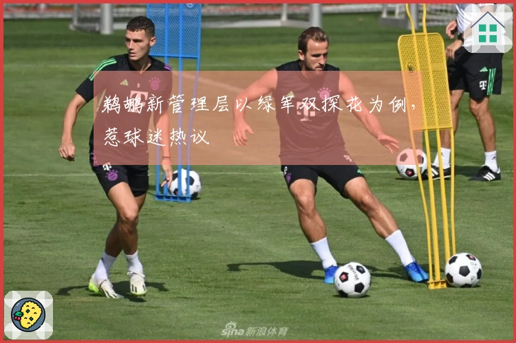 鹈鹕新管理层以绿军双探花为例，惹球迷热议