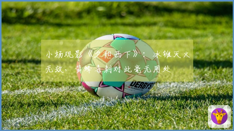 小杨观影《夕阳西下》：冰锥灭火无效，黄蜂毒刺对此毫无用处