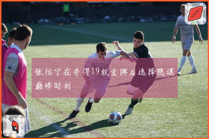 张怡宁在夺得19枚金牌后选择隐退巅峰时刻
